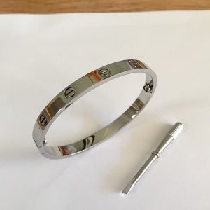 Stainless Steel silver color Bangle Bracelet